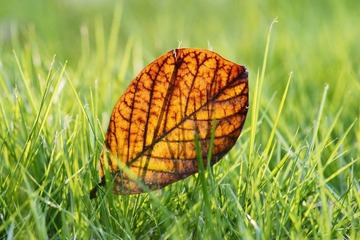 20111126-DSC00046-2.jpg