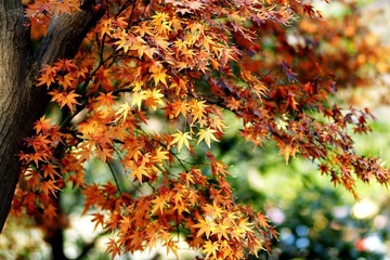DSC02116_光影_1.jpg