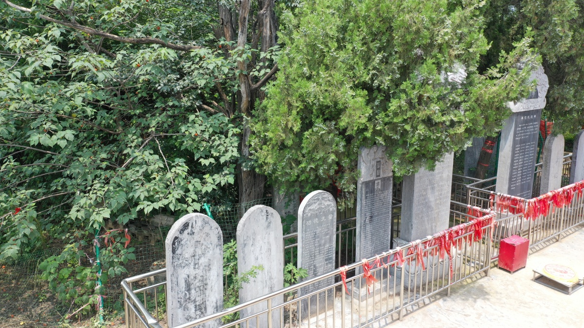 河南许昌:航拍华佗墓 - 牛书培 - 图虫