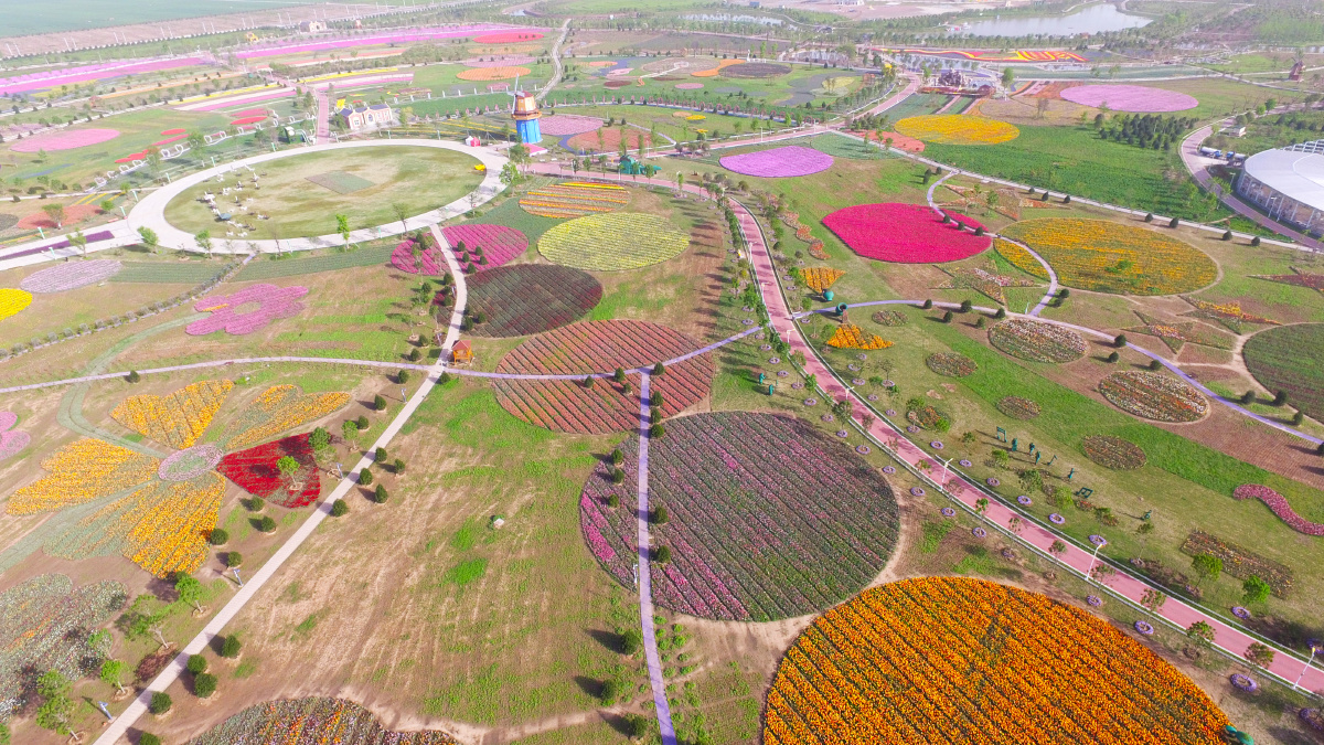 河南许昌航拍鄢陵五彩大地观光休闲旅游区如资料