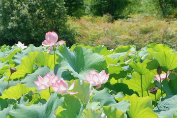471EE905-2368-4D3D-A82C-90F289957F91