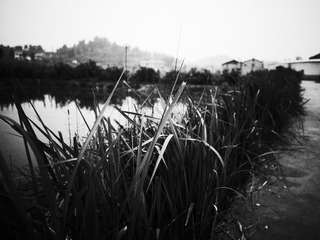 R0000554