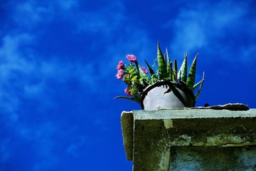 IMG_6894.jpg