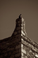 IMG_6912.jpg