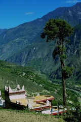 IMG_6953.jpg