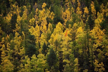 IMG_7251.jpg