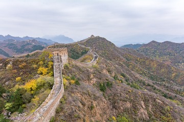 590257