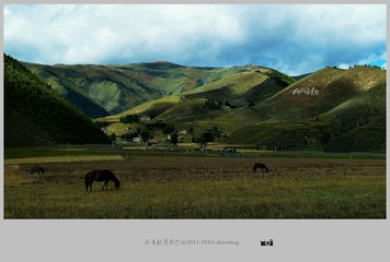 DBE3AC6A-F608-47C7-8F9F-9C55D59B55DD/L0/001