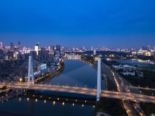 20046