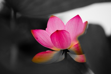 6F99B320-8385-4907-B02C-7799C0E8B907/L0/001
