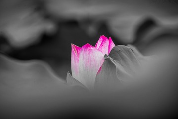 BD037A8C-CE06-4163-B45F-B36113BEBBD3/L0/001