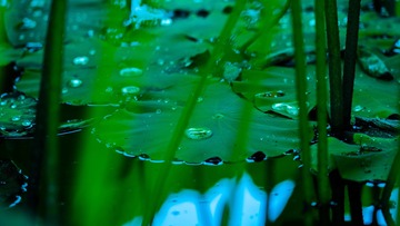 E62DB285-B253-47CC-AE3F-CF0A6F88E1B4/L0/001