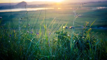 DSC00137-28.jpg