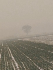 188007