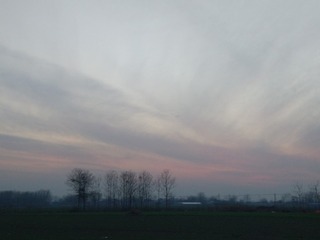 201331