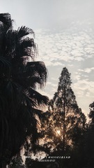 1000010444