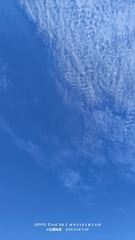 1000018128