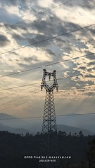 1000017374