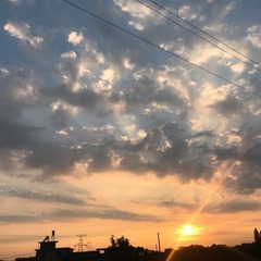 0E7824C7-3E9B-439E-98B6-7CDC95741E1F/L0/001