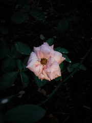 653244