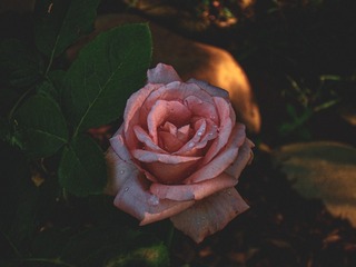 653268