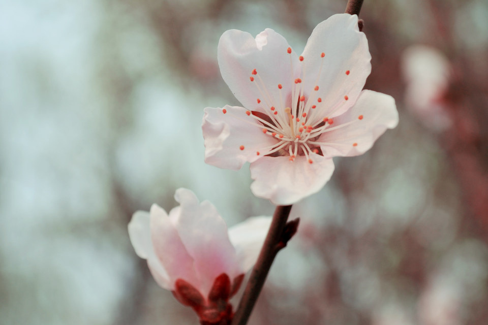 我很孤独,但不孤单。 - Dream_沐宸 - 图虫网 - 