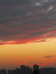 AB283D4D-05BD-443D-876B-173414170F40/L0/001