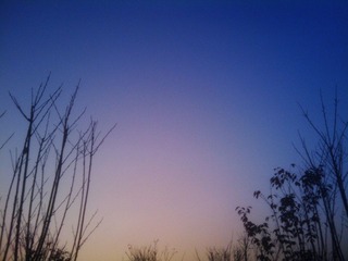 2011-11-24 17.46.11.jpg