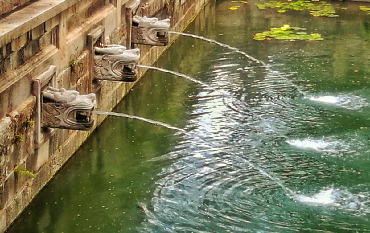 龙头喷水,摄于南京市政府古武帝庙前放生池