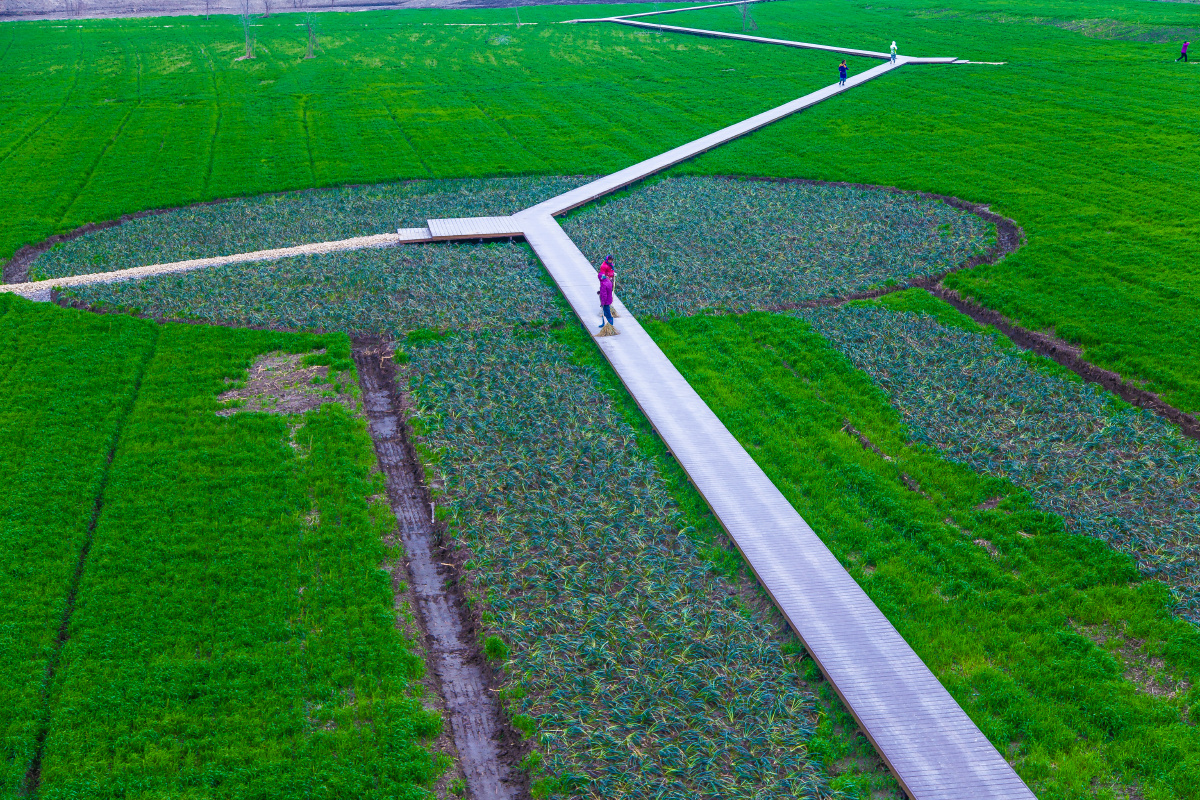 摄影2021年常熟市铁黄沙岛