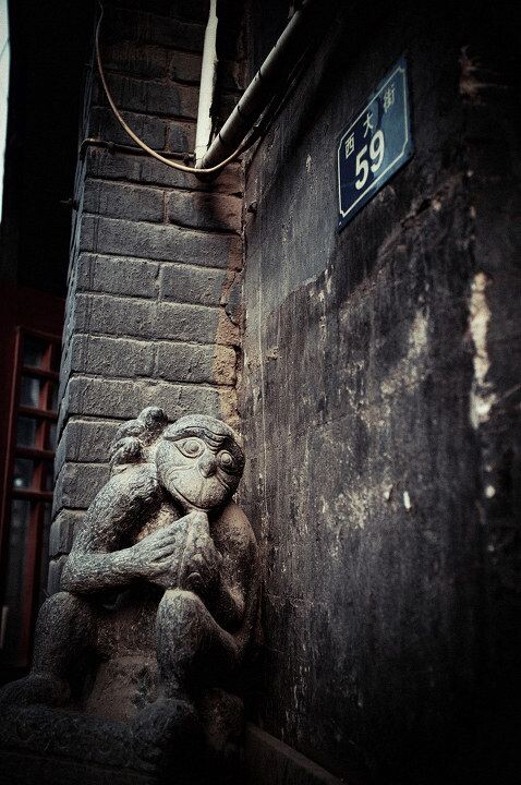 欢迎回家<br />
门口矗立的这座不知名的石猴,仿佛在等着主人归来。