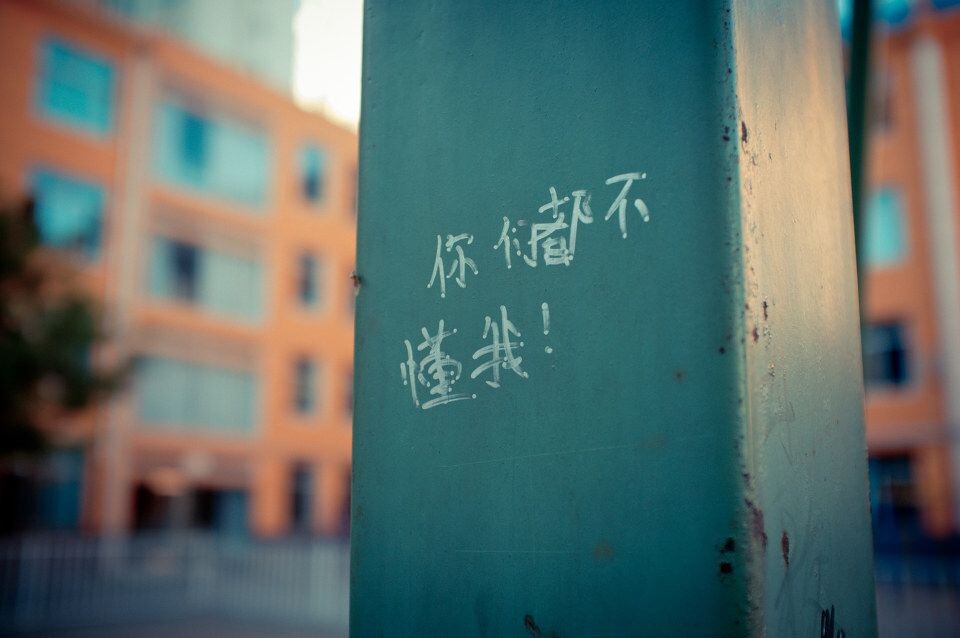 【你们都不懂我！】<br />
现在的小学生真是不一样 摄于承德实验小学