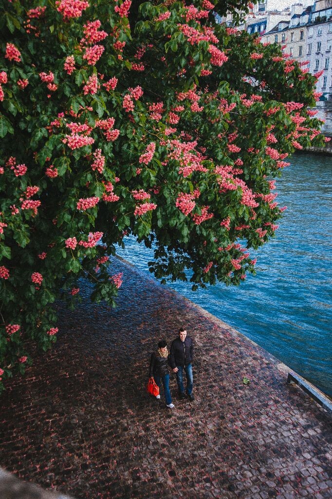 时光静好，与君语；<br />
<br />
细水流年，与君同；<br />
<br />
繁华落尽，与君老。<br />
<br />
——不忘初心，方得始终