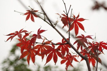 DSC01784.JPG