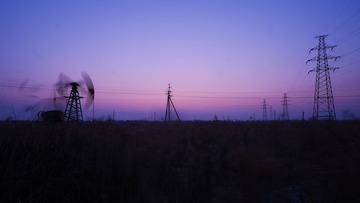 DSC_2900.jpg