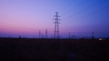 DSC_2902.jpg