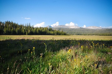 DSC_5054.jpg