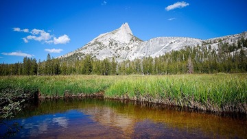 DSC_5468.jpg