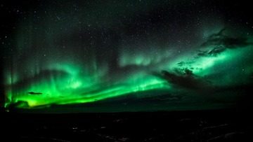DSC_0864.jpg