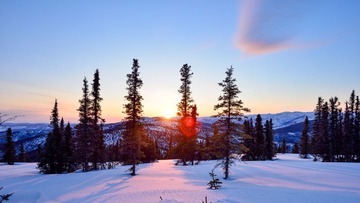 DSC_1308.jpg