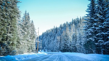 DSC_3040.jpg