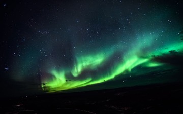 DSC_0868.jpg