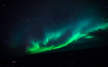 DSC_0868.jpg