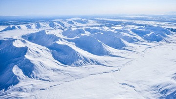 DSC_2600.jpg