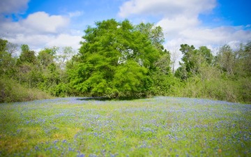 DSC_3380_1.jpg