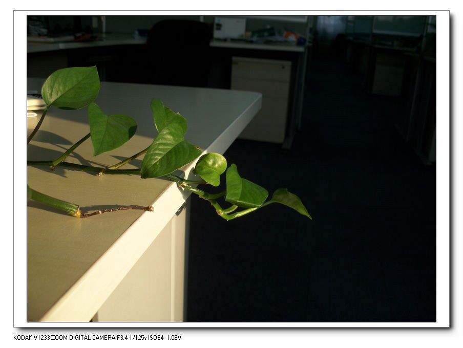 100_8003<br />
Morning Office