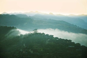 _DSC3849x.jpg