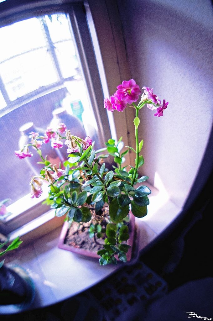 DSC00418_<br />
