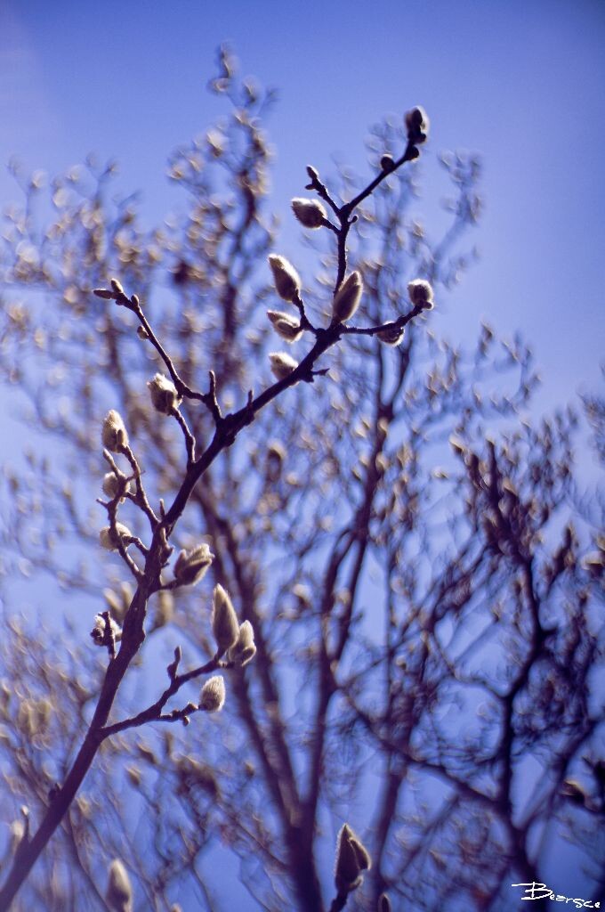DSC00500_<br />
