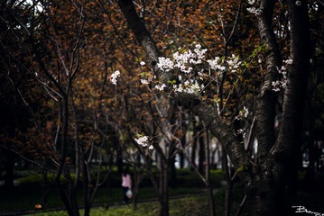 L1000580